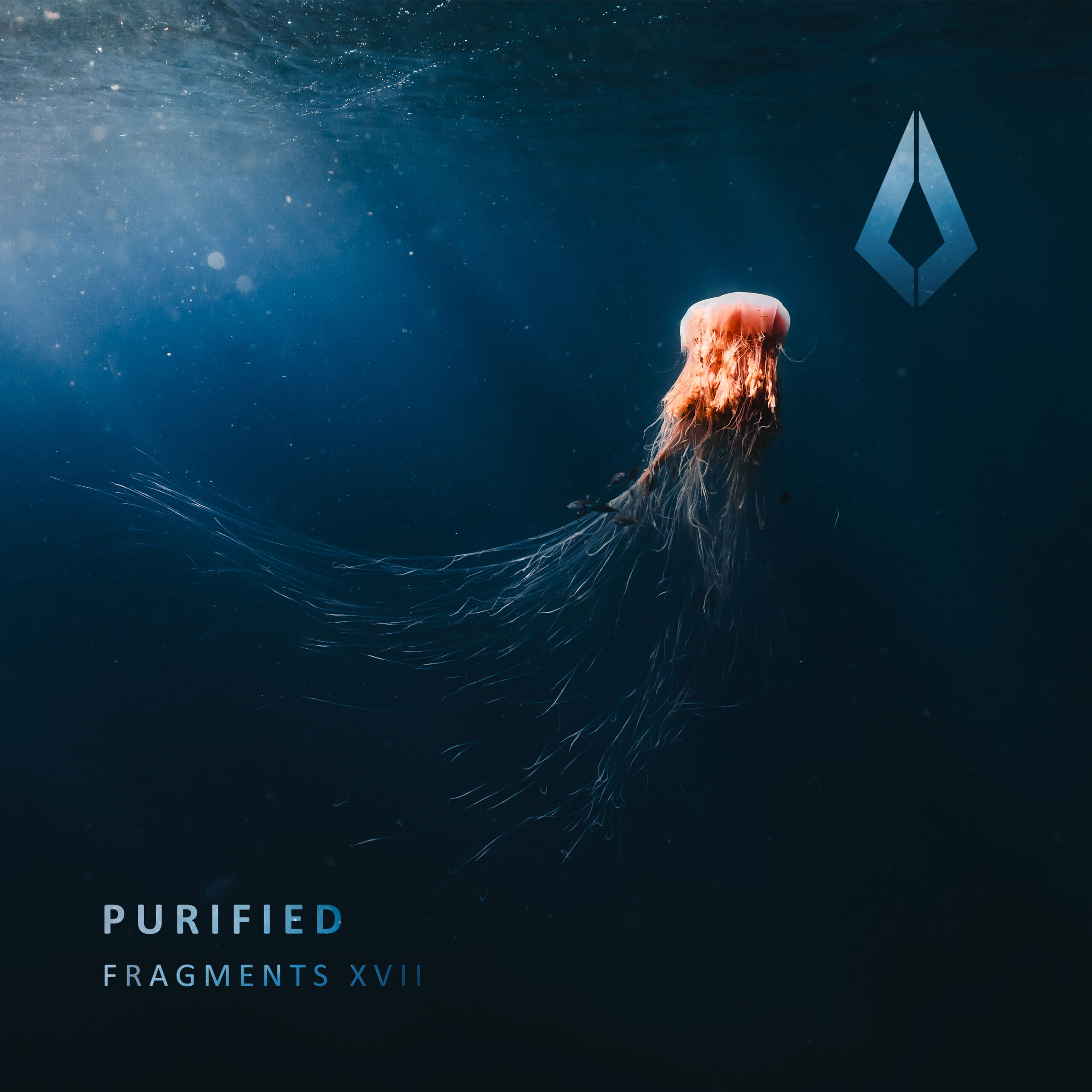 Purified Records Closes 2023 with Purified Fragments XVII Compilation