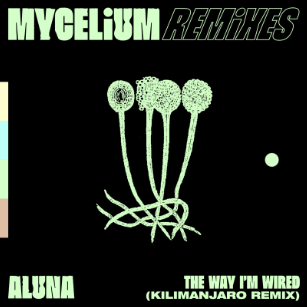 Aluna shares rousing KILIMANJARO remix of anthemic deep cut ‘The Way I’m Wired’