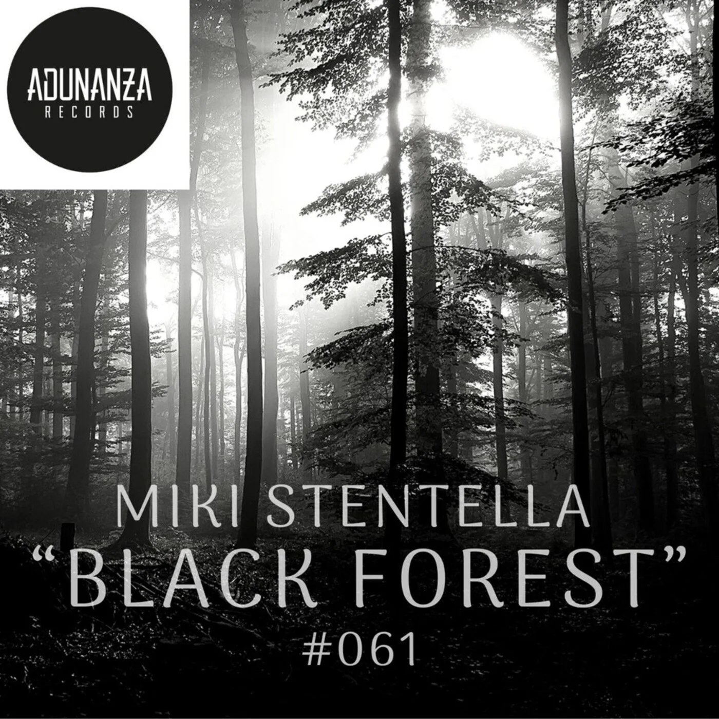 Industrial Fog and Arpeggiated Hypnosis in “Black Forest”