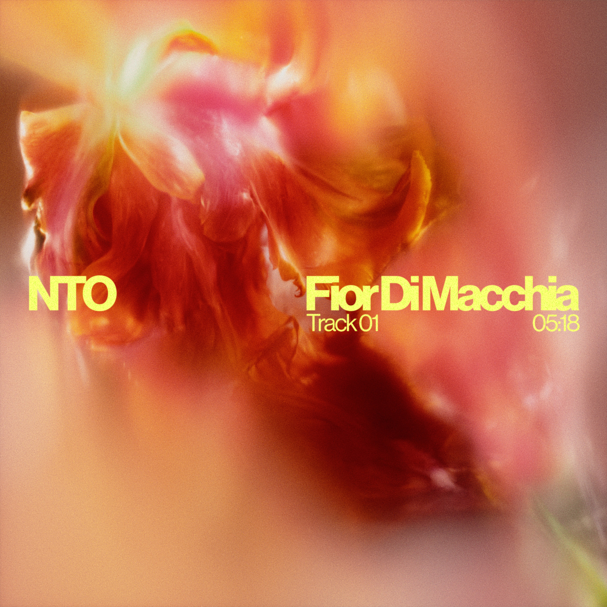 NTO marks his return on “Fior Di Macchia” on All Night Long